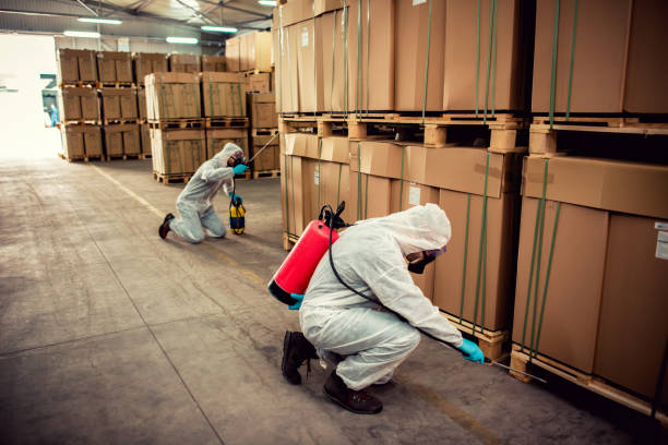 Best Best Pest Control Companies  in Richardson, TX