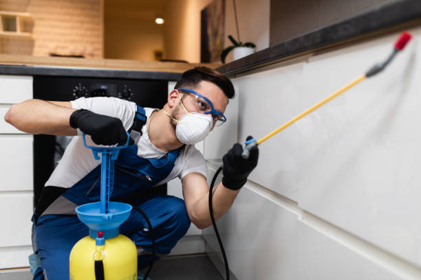 Best Wildlife Control Services  in Richardson, TX