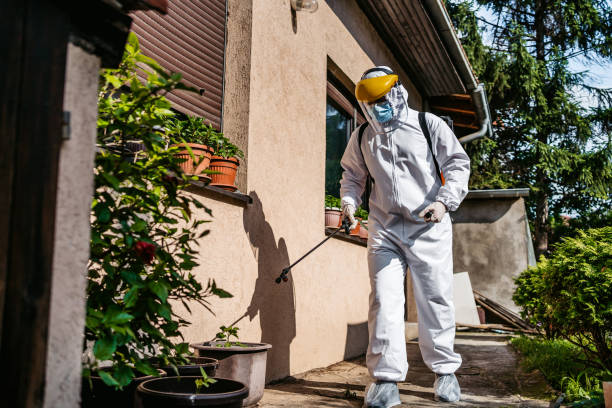 Best Best Pest Control Companies  in Richardson, TX