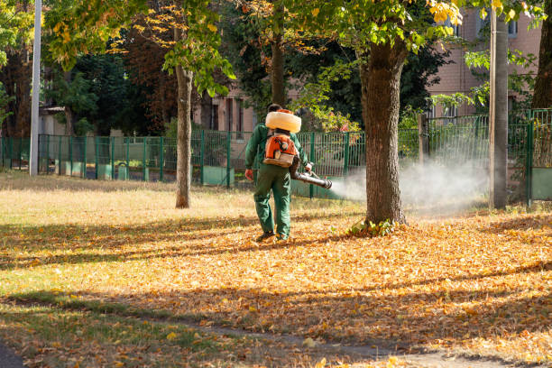 Best Best Pest Control Companies  in Richardson, TX