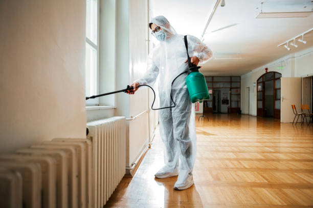 Best Cockroach Control Services  in Richardson, TX